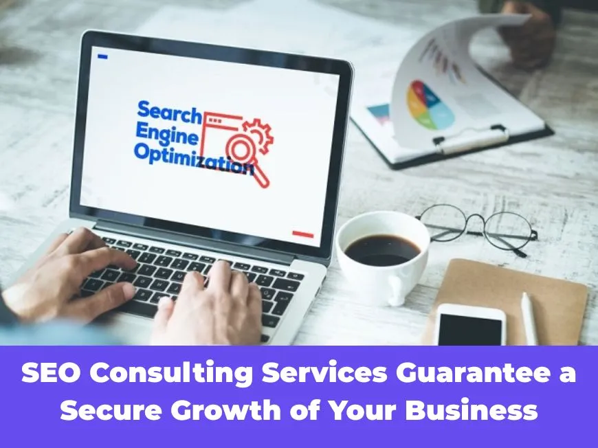 SEO Consulting Services Guarantee a Secure Growth of Your Business