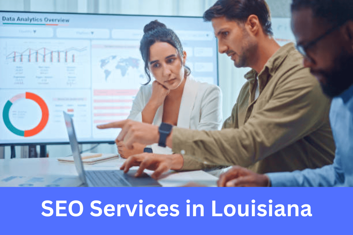 SEO Services in Louisiana