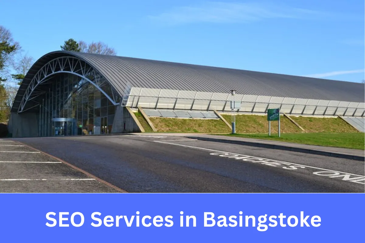 SEO Services in Basingstoke