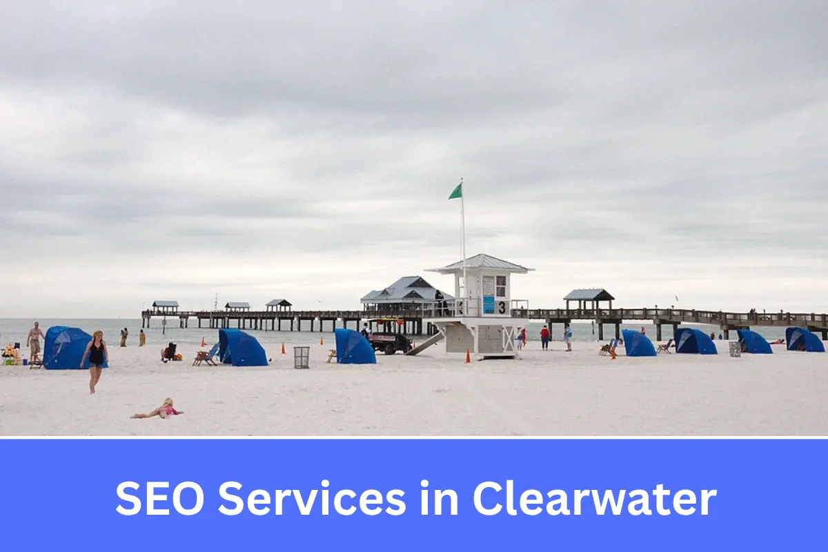 SEO services in Clearwater for local businesses