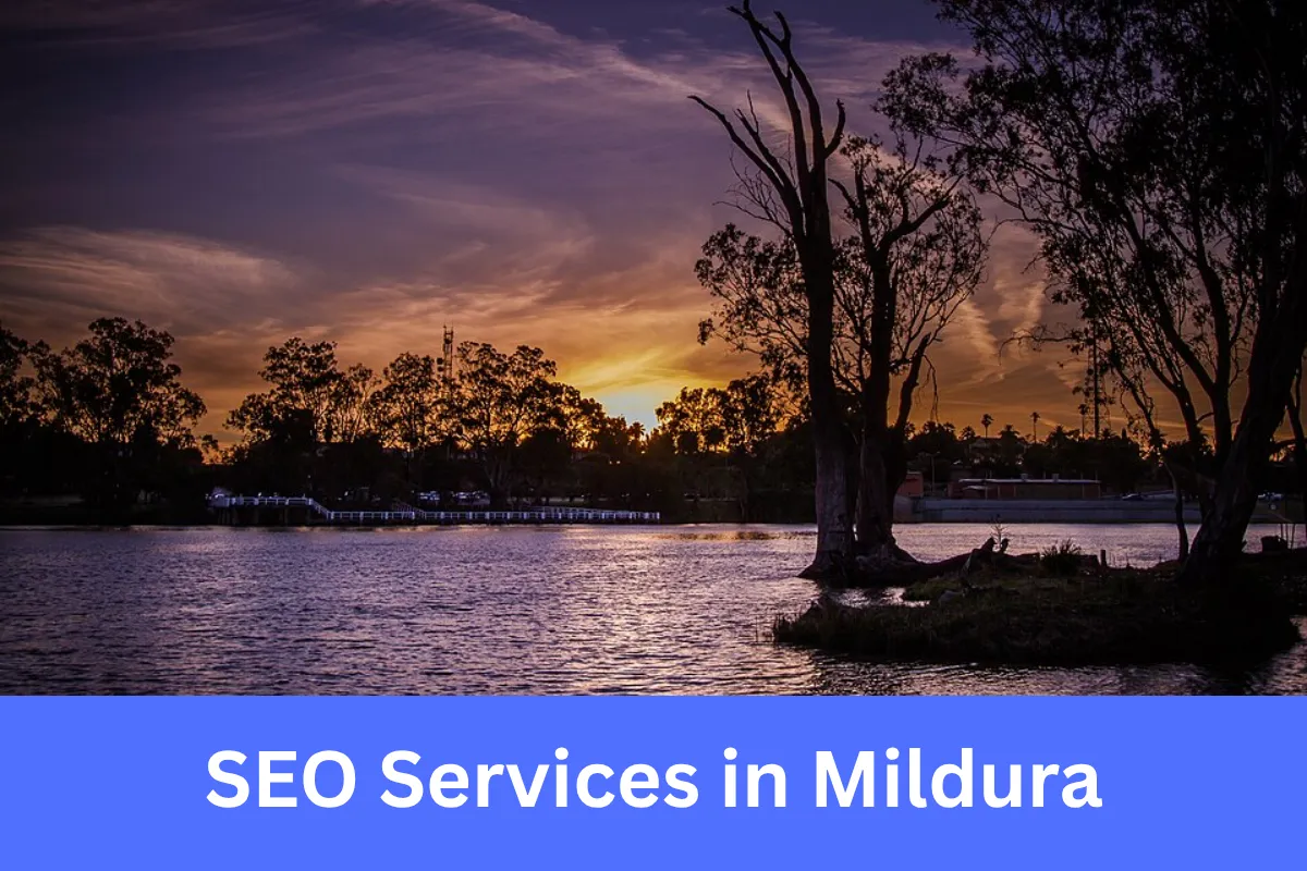 SEO Services in Mildura helping regional businesses increase online visibility