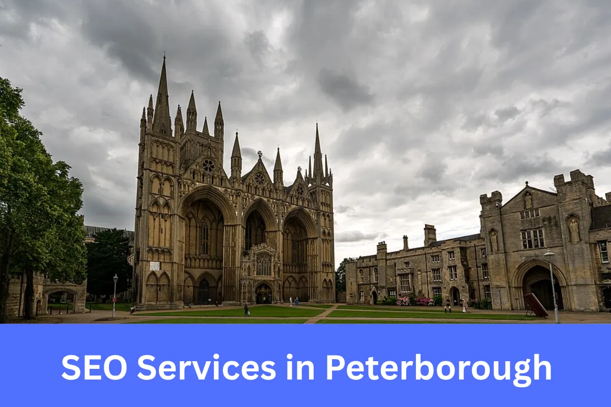 SEO Services in Peterborough