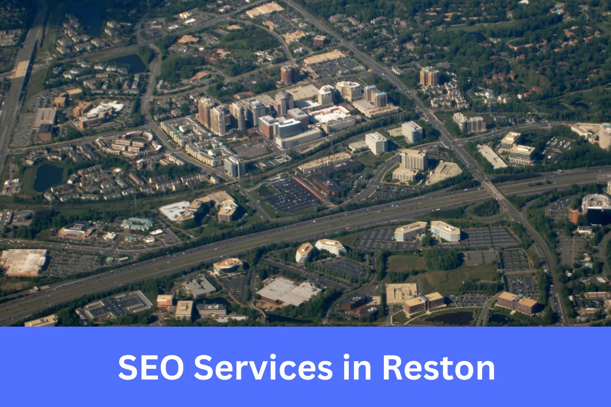 SEO services in Reston for local businesses