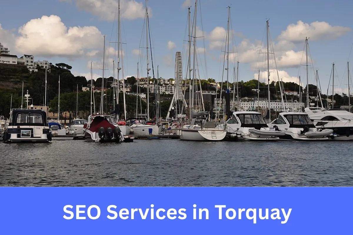 SEO Services in Torquay