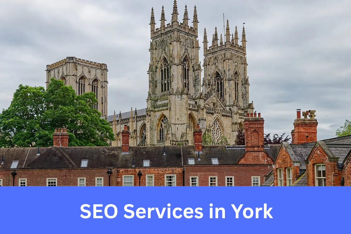 SEO Services in York