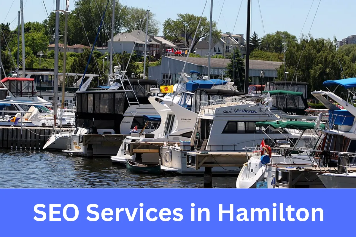 SEO Services in Hamilton helping businesses increase online visibility