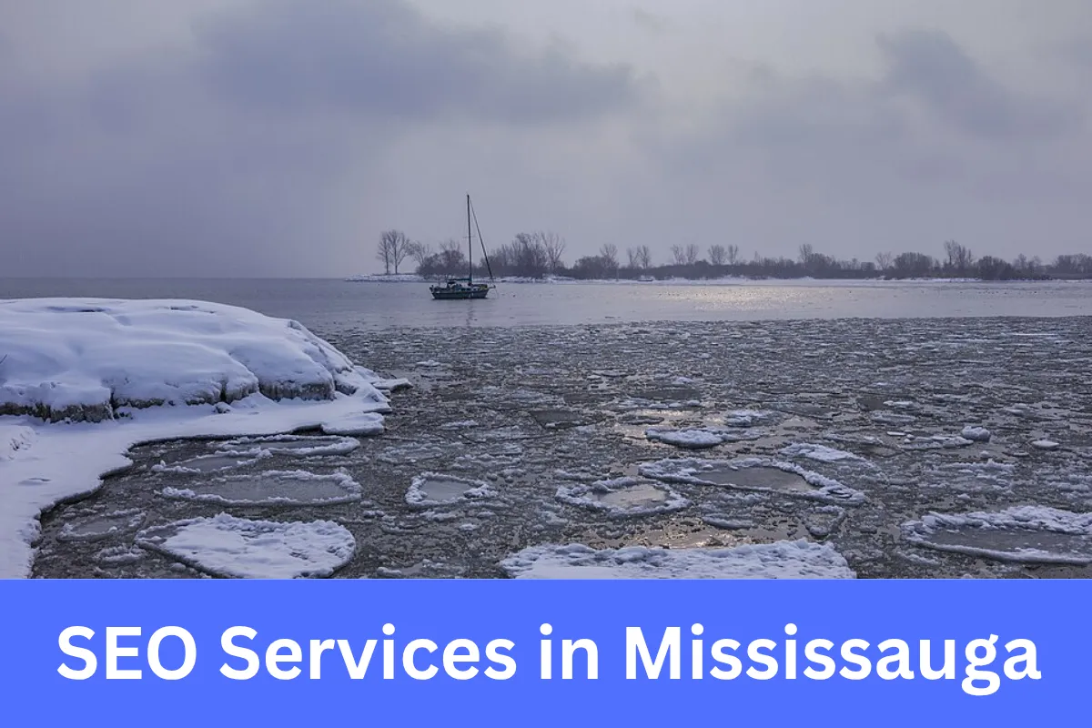 SEO Services in Mississauga helping businesses increase online visibility