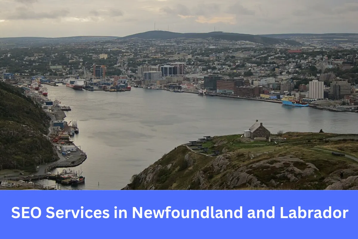 SEO Services in Newfoundland and Labrador helping businesses increase online visibility