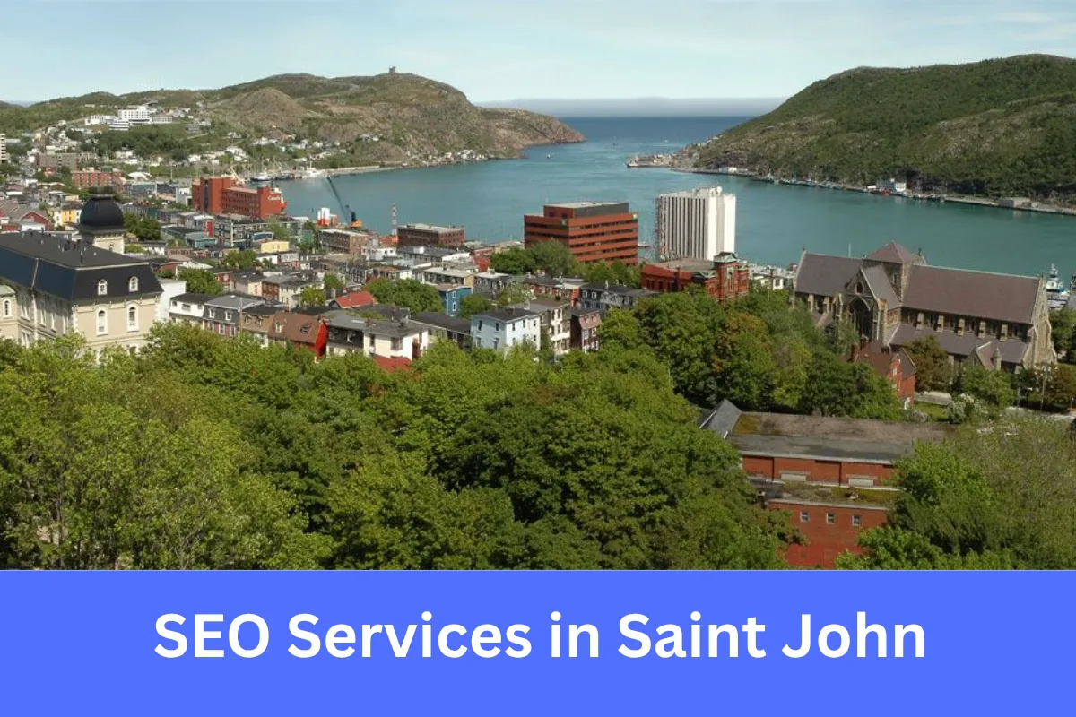 SEO Services in Saint John helping businesses increase search visibility and generate qualified leads