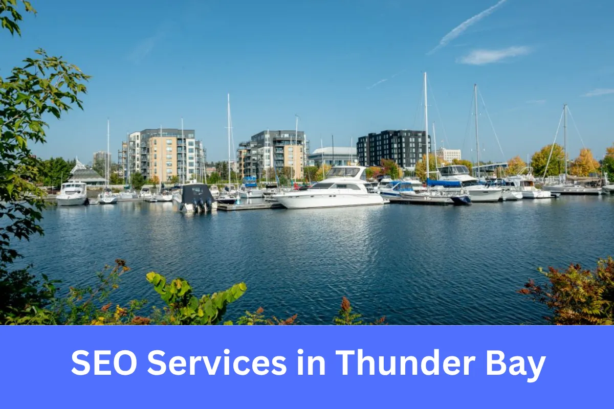SEO Services in Thunder Bay helping businesses increase online visibility