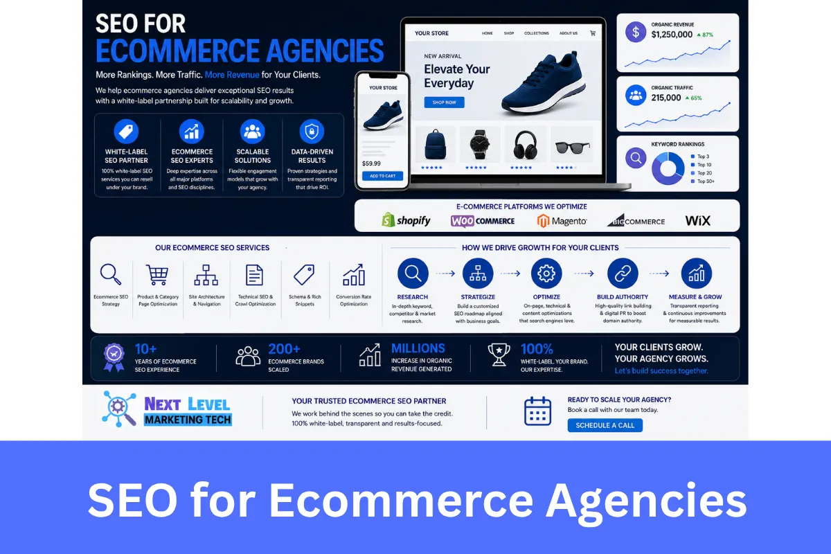 SEO for Ecommerce Agencies