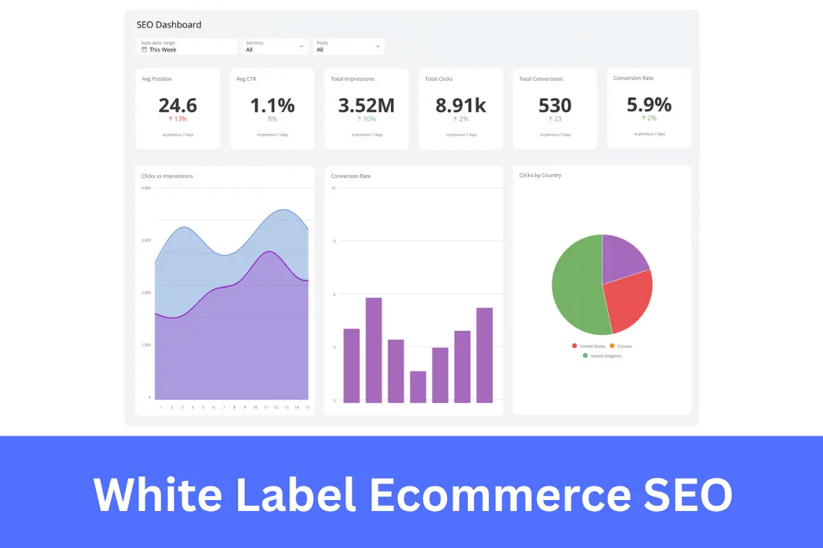White Label Ecommerce SEO services for agencies