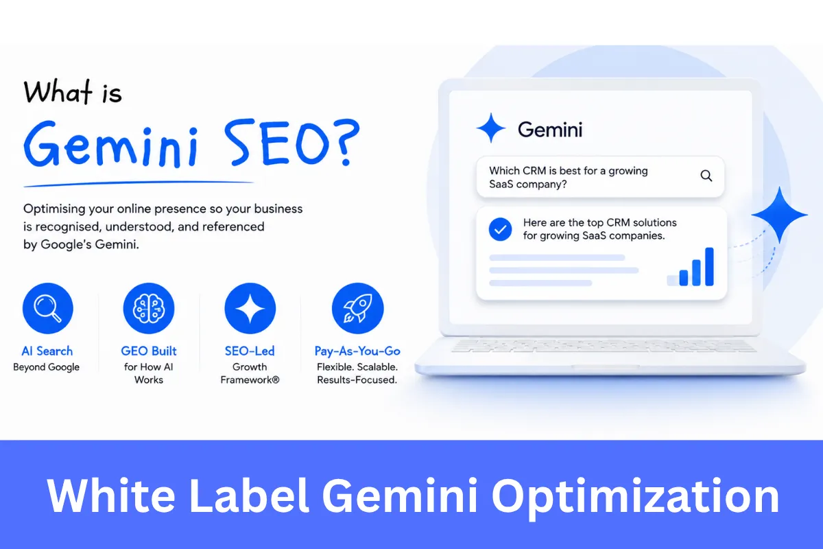 White Label Gemini Optimization services for agencies