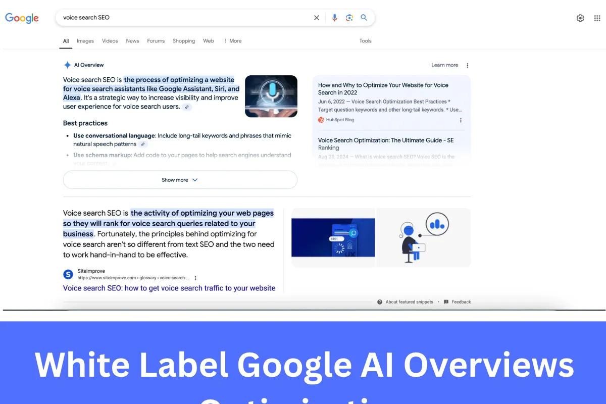 White Label Google AI Overviews Optimization services for agencies