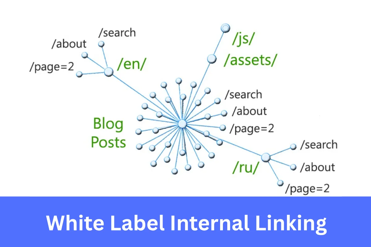 White Label Internal Linking Services