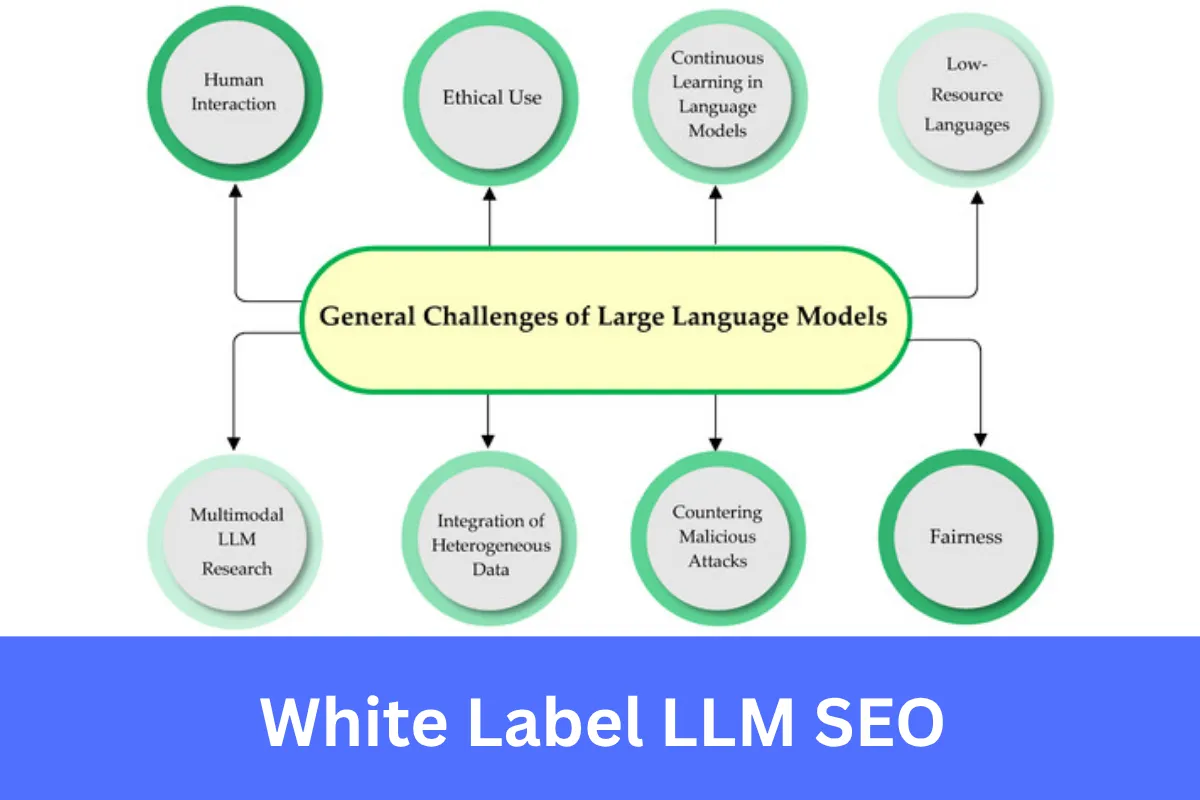White Label LLM SEO services for agencies