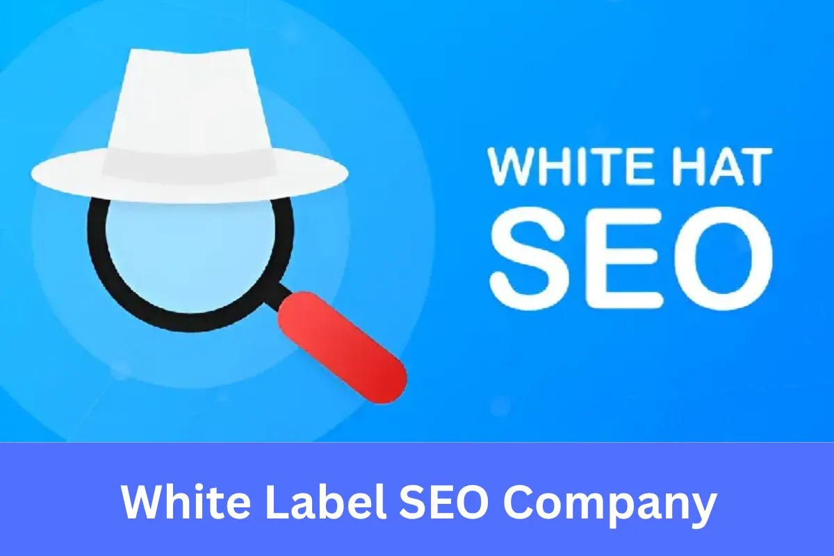White Label SEO Company for Agencies