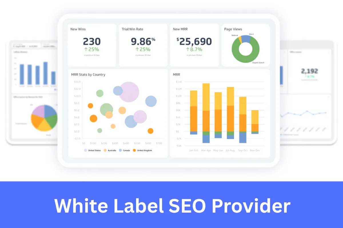 White Label SEO Provider for Agencies
