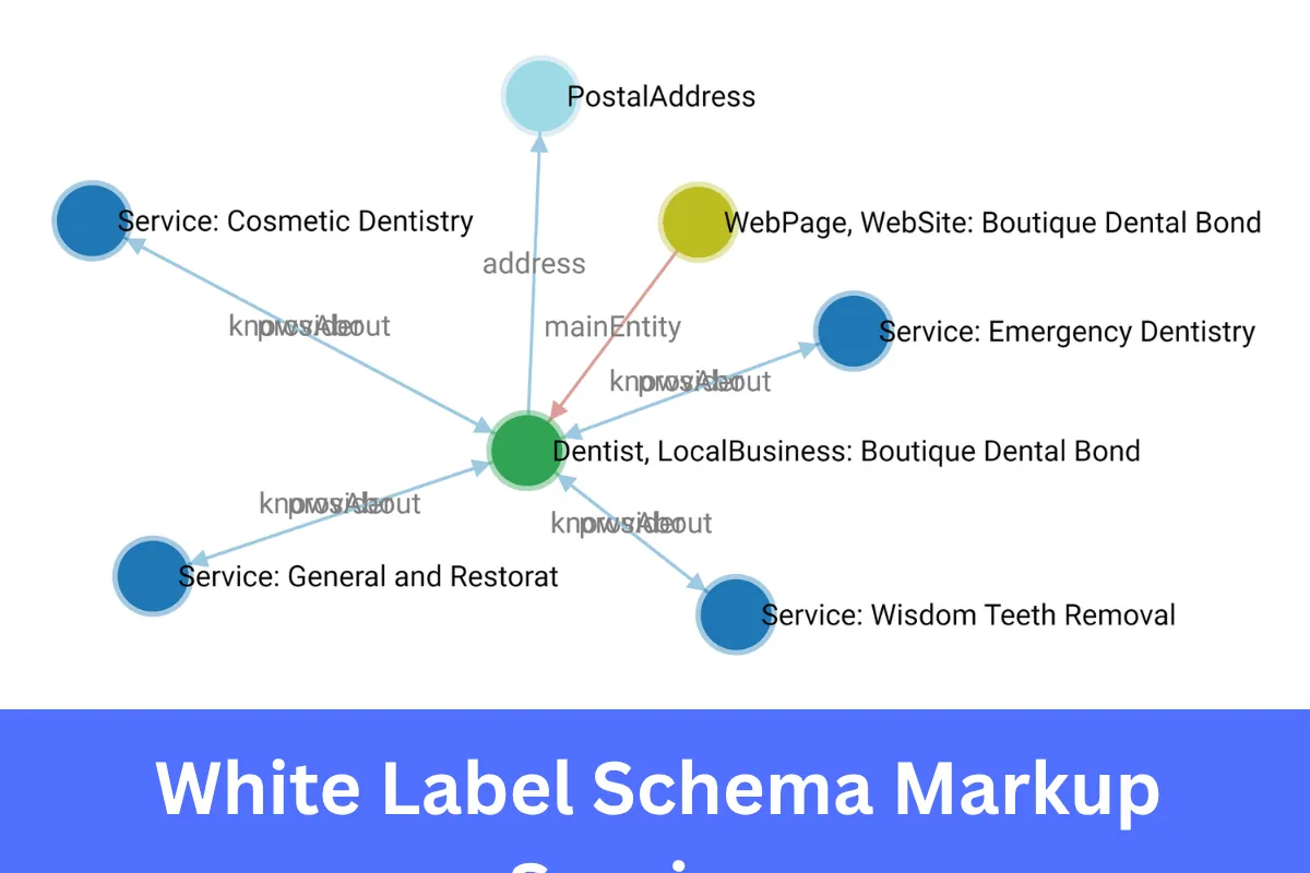 White Label Schema Markup services for agencies