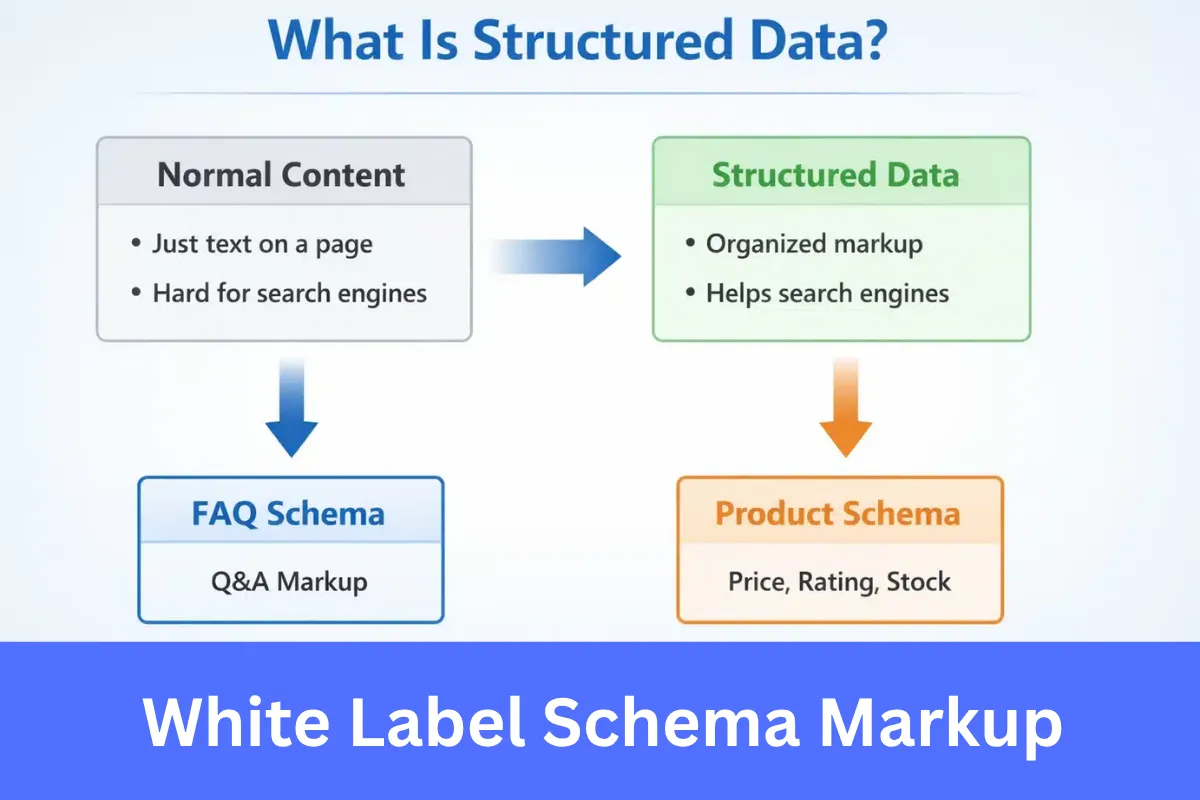 White Label Schema Markup Services