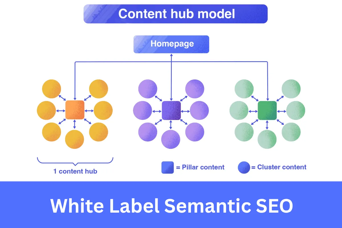 White Label Semantic SEO services for agencies